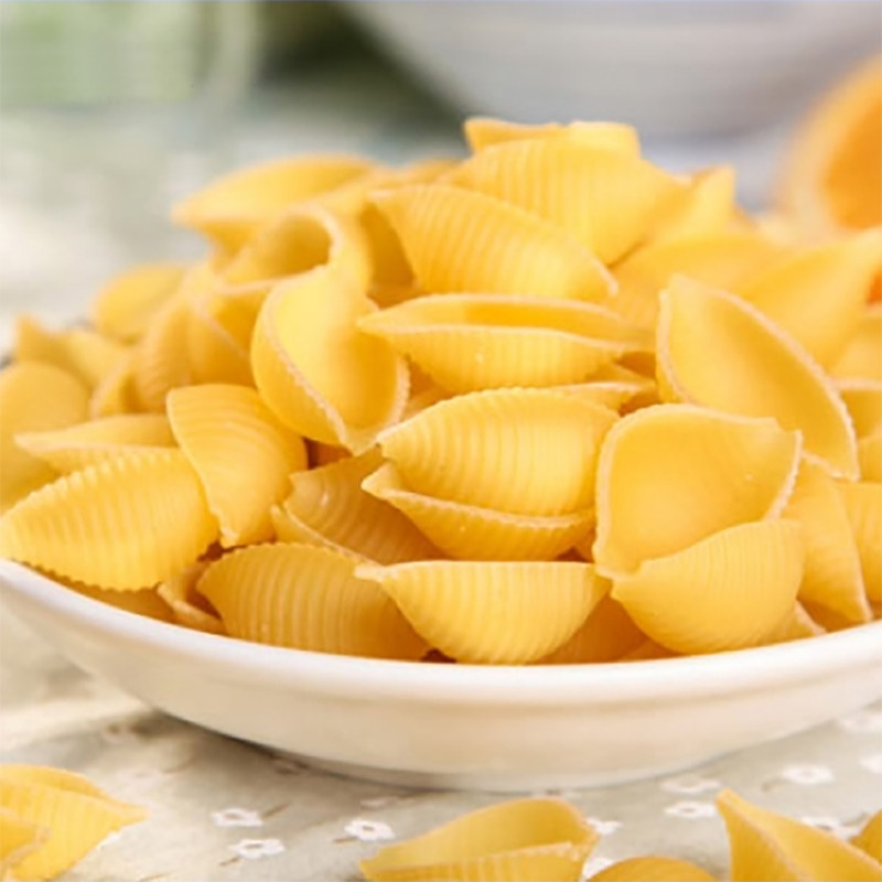 意大利原装进口莫利364贝壳500g通心粉面条意粉意大利面