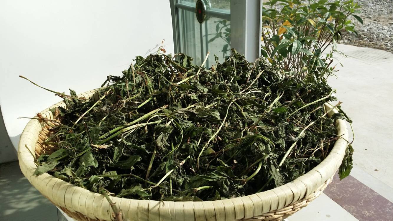 大雁紫花佩兰灌南原产地草茶干品自然大安草茶包养生茶