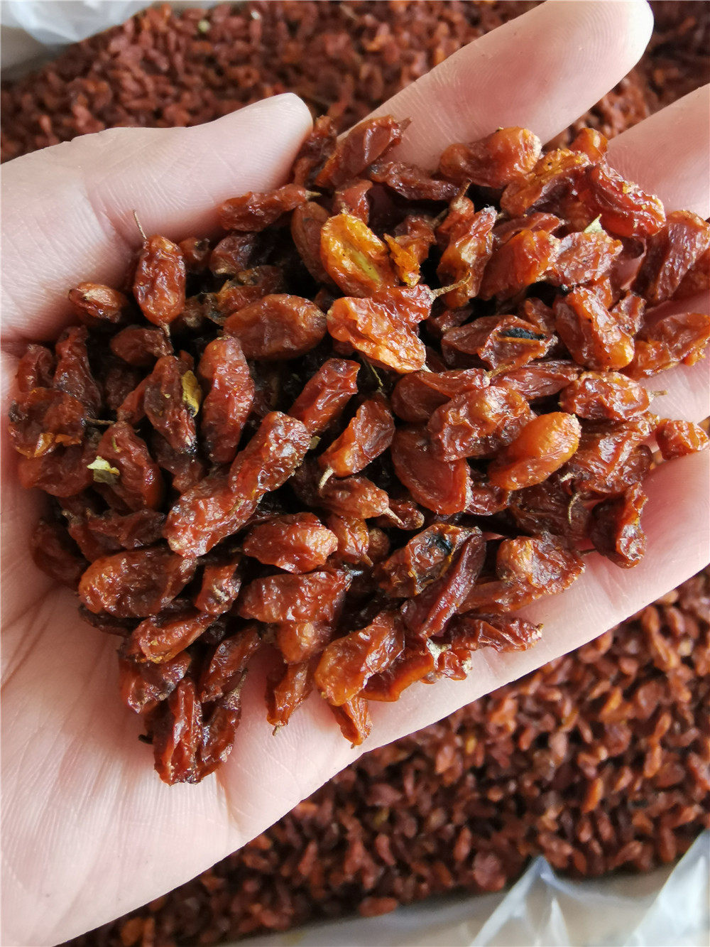 沙棘果干新疆阿勒泰特产大果干果含果油无提炼其它