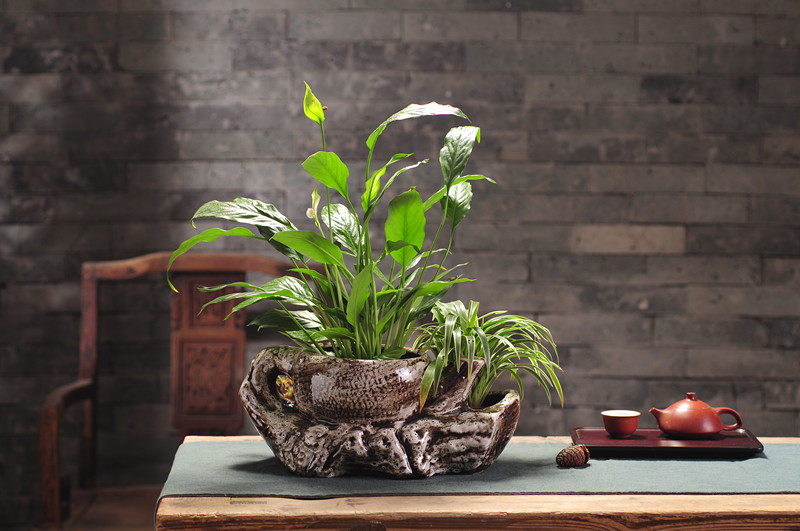 花盆三孔小号特色茶壶形状陶瓷中国国风家庭花盆