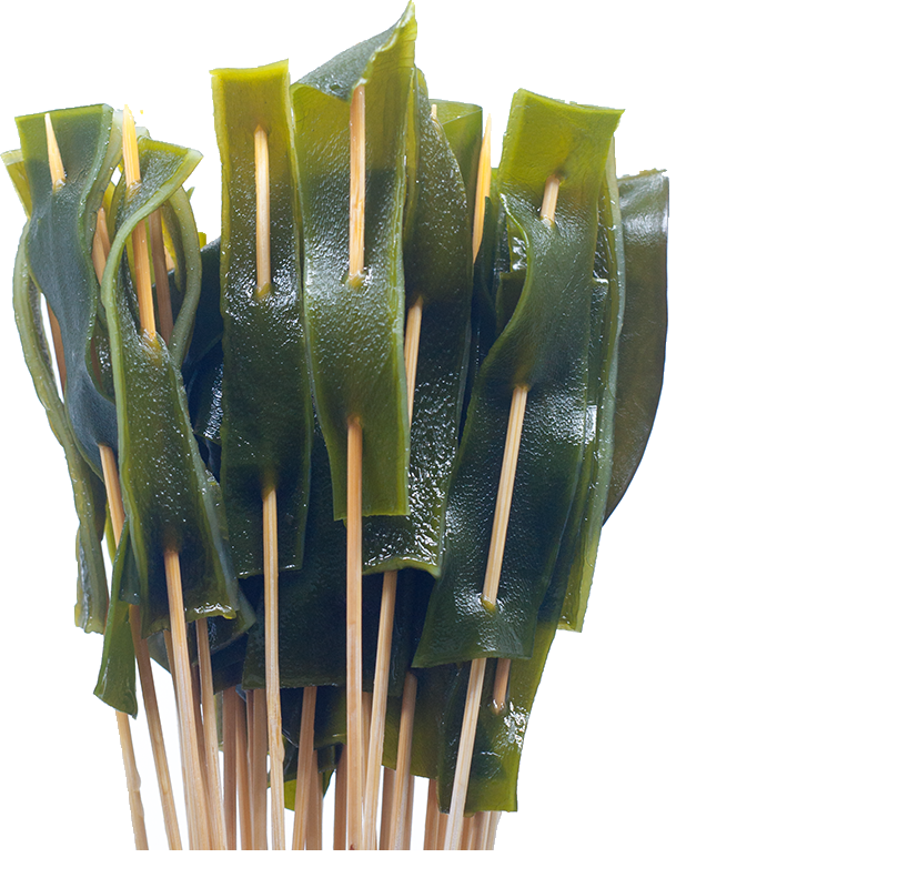 海带烧烤食材铁板海带小串素菜小串涮锅麻辣烫2000串箱包邮