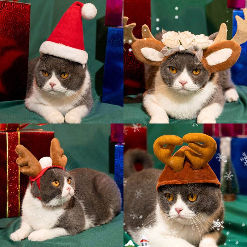 猫咪头套可爱可爱猫头饰圣诞生日宠物帽子兔耳帽子