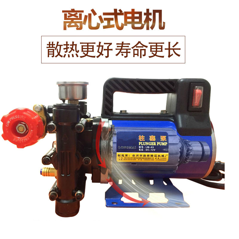 果树便携喷头小型手提式电动喷雾器农药机洗车农用