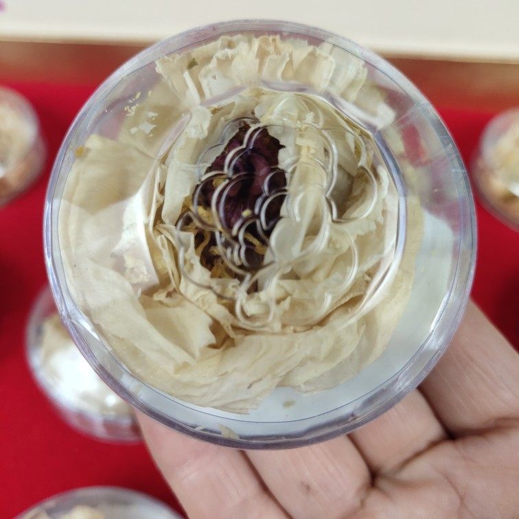 牡丹牡丹花菏泽特产整朵花朵花茶丹凤茶礼盒装代用