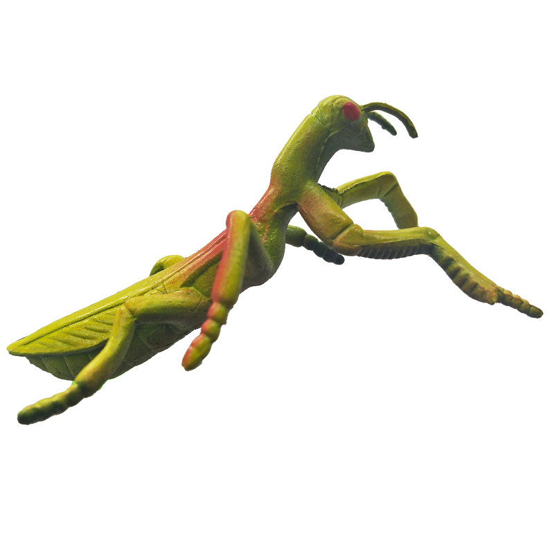 螳螂玩具儿童早教仿真软胶昆虫动物模型彩色仿真