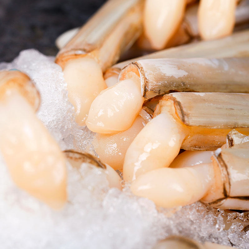 味库鲜活巴基斯坦进口新鲜蛏子王海鲜产品冷冻贝壳类1斤