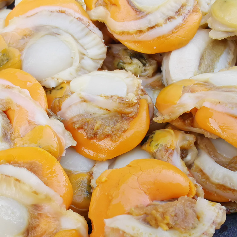 扇贝黄扇贝冠贝皇冠带黄超大海鲜连云港活现鲜活贝类制品