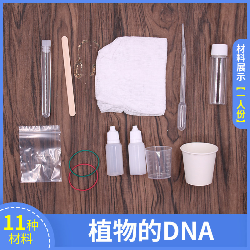 求知教育科技diy小发明制作提取植物水果dna中小学科学实验