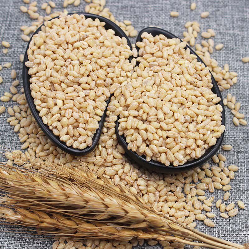 小麦漫泉河新麦仁米脱皮五谷杂粮煮粥用蒸粗粮麦米其它粮食