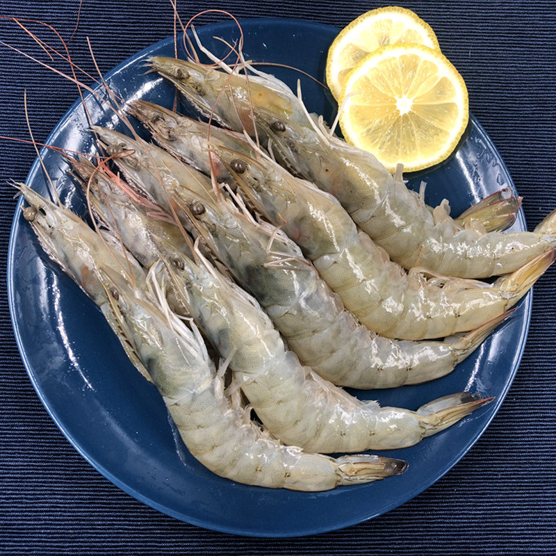 海虾鲜活海鲜超大对虾野生青虾基围白虾子新鲜冷冻2-3斤包邮