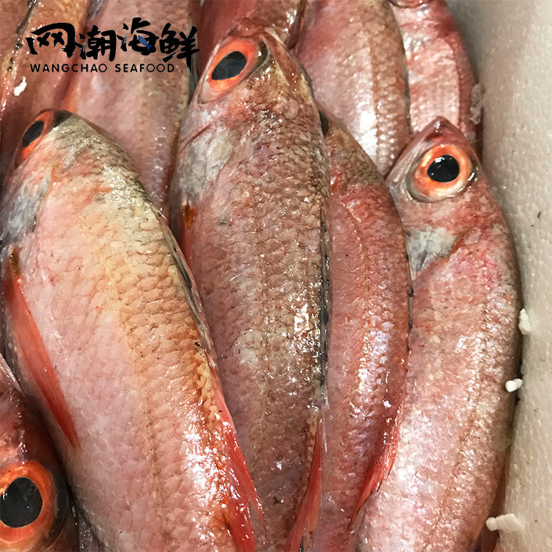 网潮海鲜舟山东海赤鯥喉鱼新鲜深海红果一斤其它