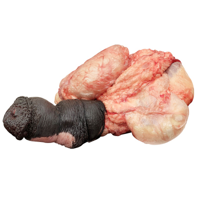 河北特产新鲜驴鞭驴宝驴三样驴蛋驴腰子驴生殖器特大真空包装顺丰