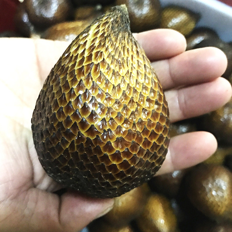 歌慕 印尼特产蛇皮果2斤装 新鲜进口水果记忆之果