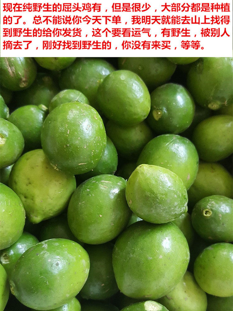 槟榔屈头新鲜现摘果实鸡果水鸡仔马马金南山其他药食同源食品