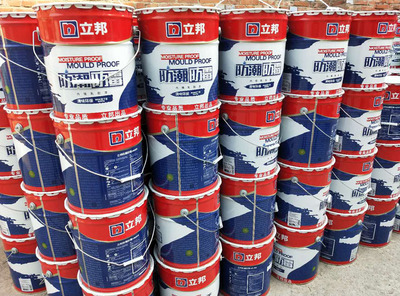立邦防潮防霉内墙乳胶漆净味环保地下室车库仓库杂物间潮湿专用漆
