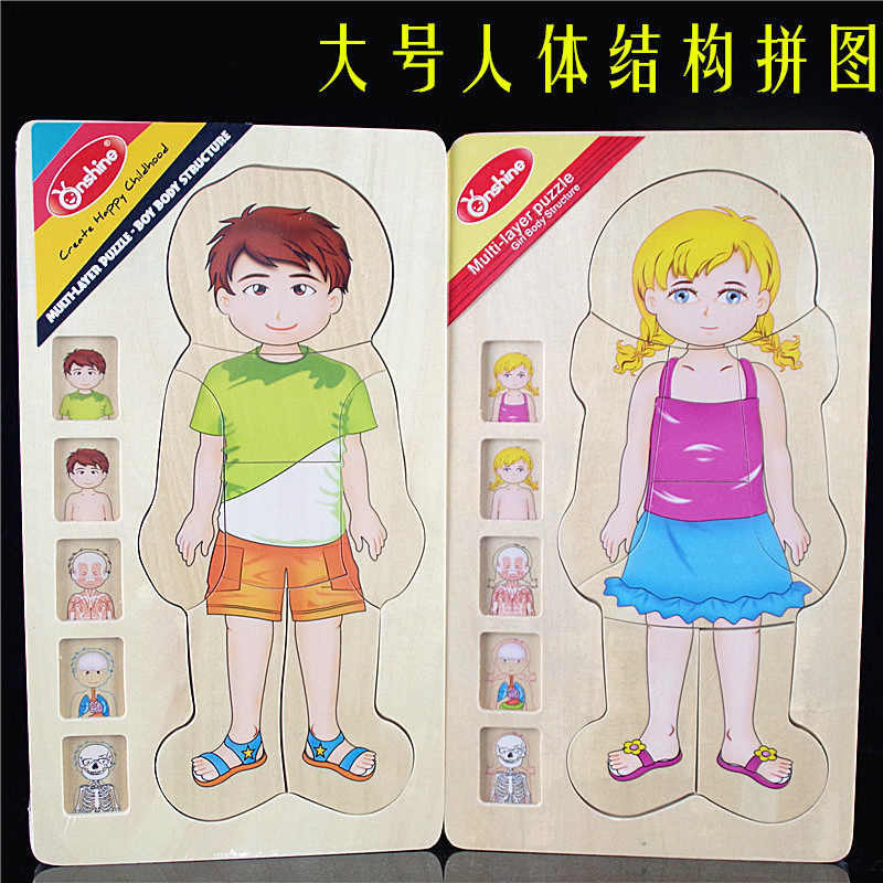 材料科学男孩女孩人体结构拼图幼儿园学区发现教具科学实验