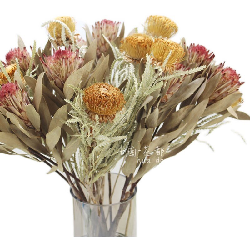 佛塔公主干花南非进口花材拍摄道具居家酒店干花