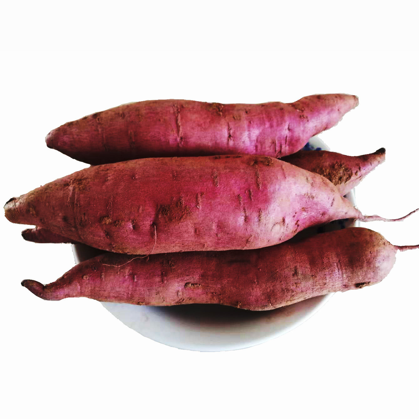 北义城老品种红薯红皮白心5斤迷你番薯