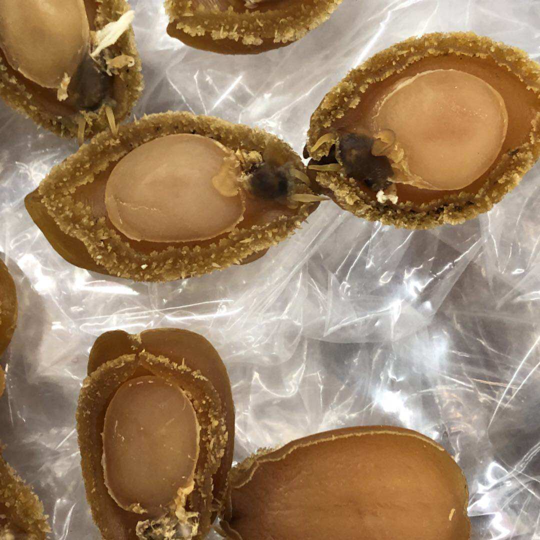 鲍鱼30头大连跳墙材料黄金海鲜水产干货500g鲍鱼