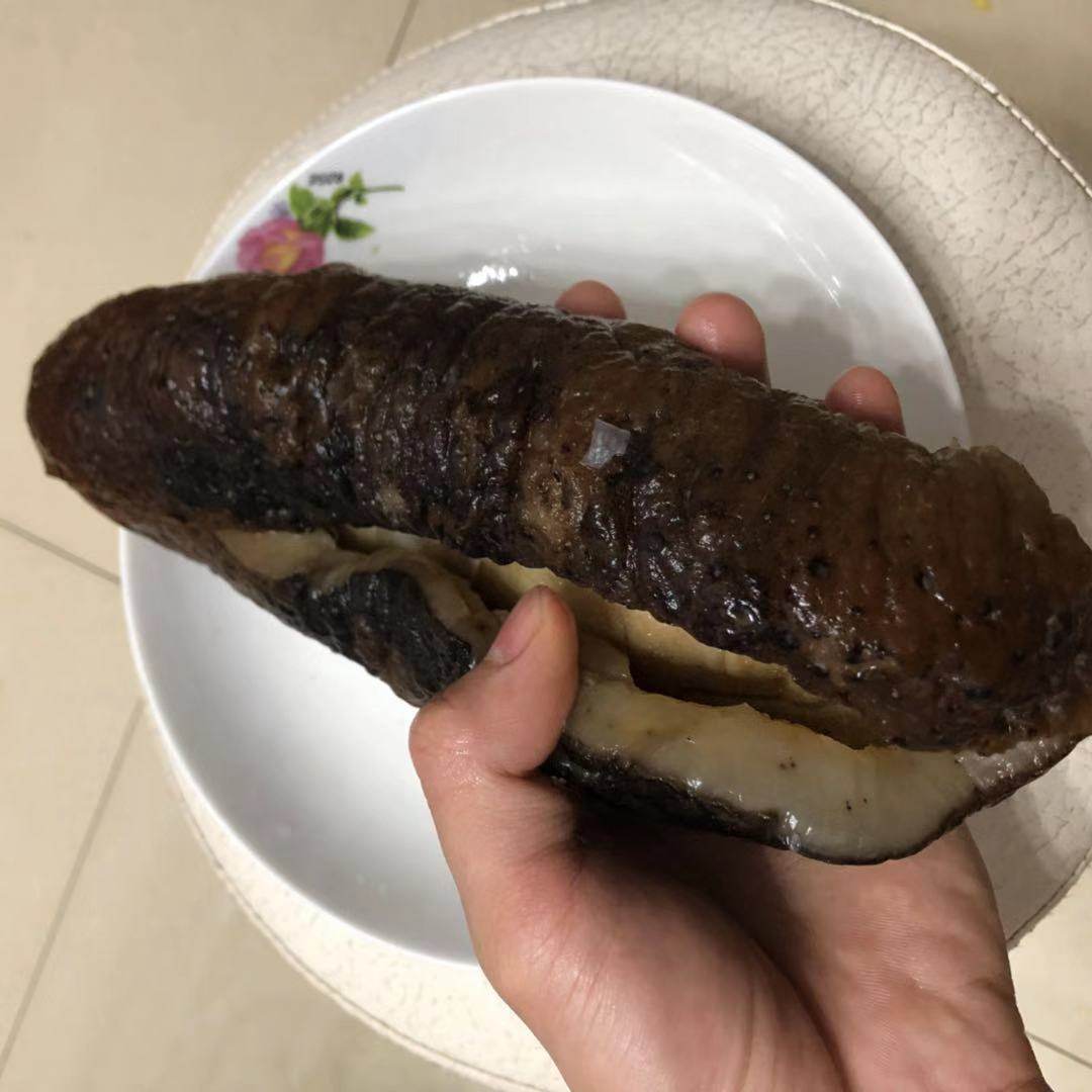 海参深海淡干大号黑猪白猪母参滋补食材12头海参