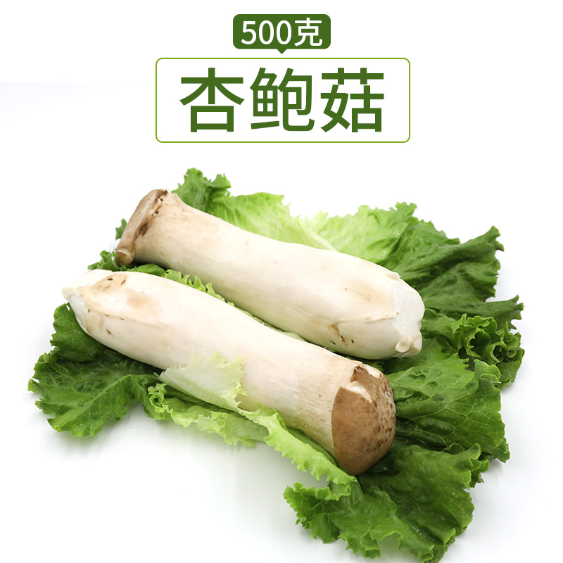 壹香杏鲍菇约500g新鲜蔬菜鸡腿蘑菇菌菇火锅其它