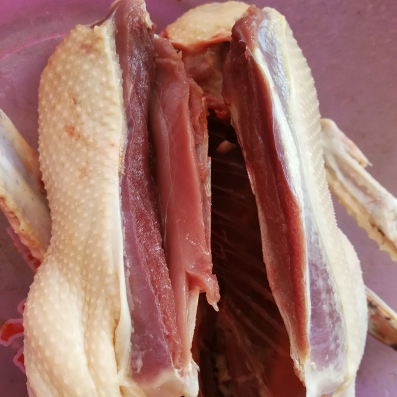 农家散养番鸭鸭子红脸放养新鲜现杀鸭肉鸳鸯鸭肉