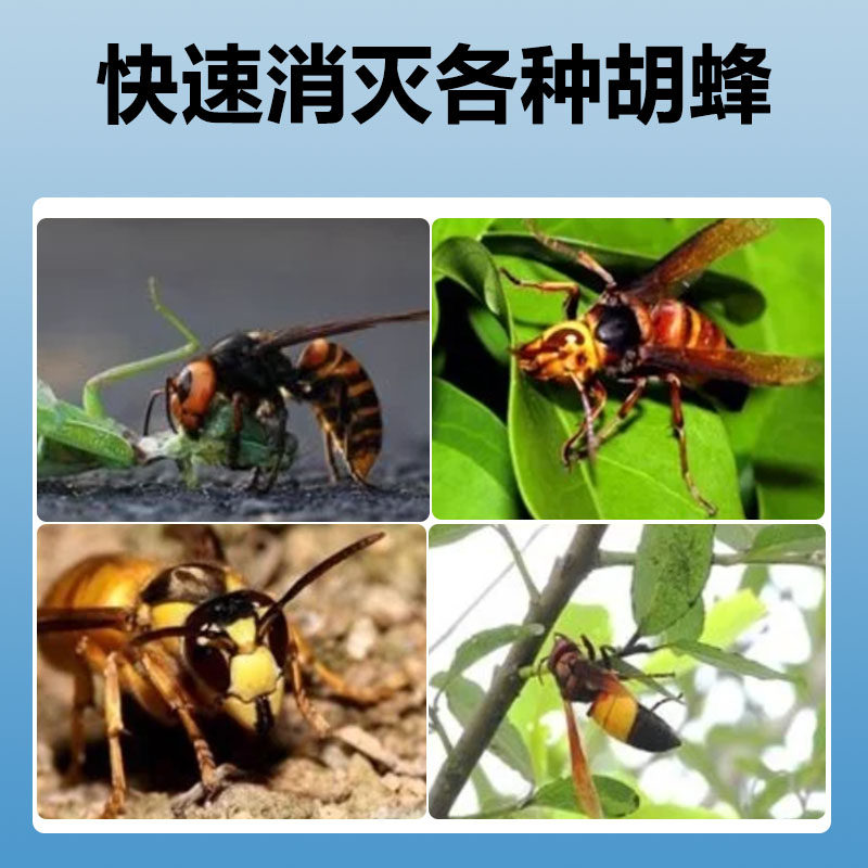 马蜂药胡蜂毁巢灵诱杀胡蜂马蜂克星药胡蜂三天净粉剂保护蜜蜂工具