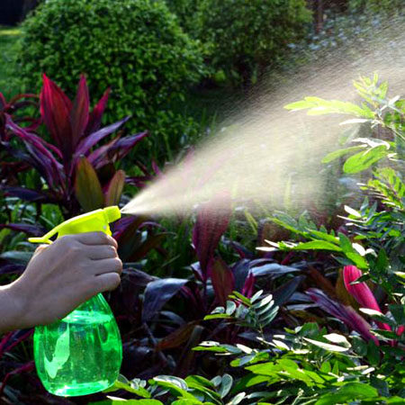 喷雾器喷壶洒水喷水水壶园艺工具浇花喷瓶花卉洒水