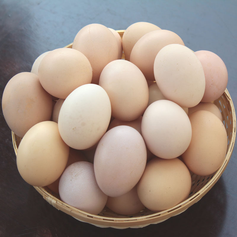 正宗土鸡蛋农家散养柴鸡蛋野外山林新鲜草鸡蛋产妇月子笨鸡蛋40枚
