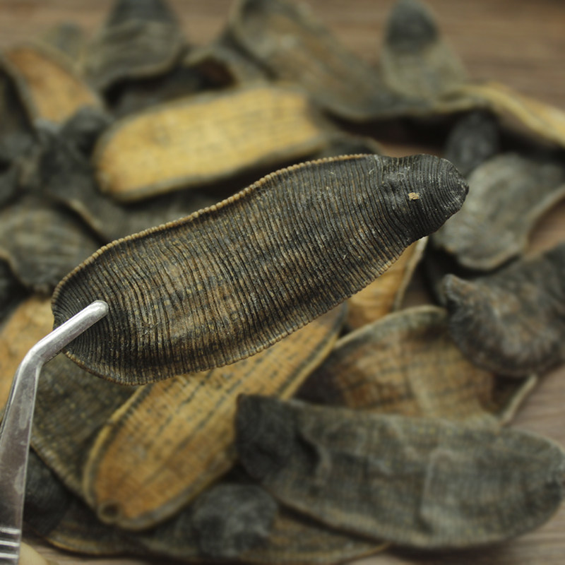 水蛭中药材正品蚂蟥宽体金线100g蚂蝗非吊磨水其他药食同源食品