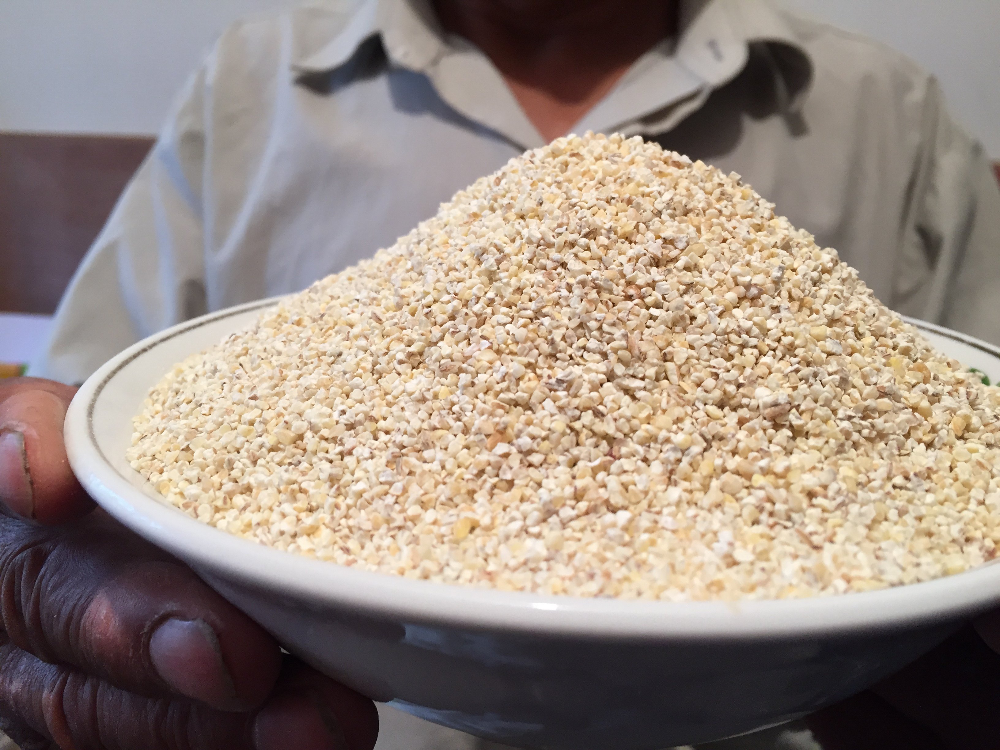 苏北特产大麦采子大麦糁大麦彩子五谷杂粮去麸大麦煮粥吃10斤包邮