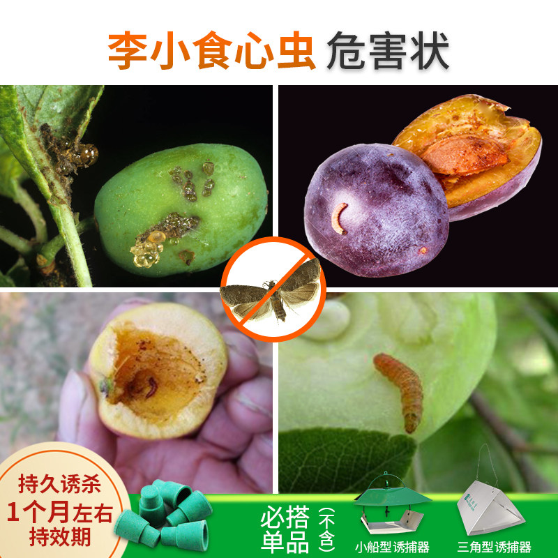 李小食心虫信息素诱昆虫性诱剂果树果园李子钻心虫其它园艺用品