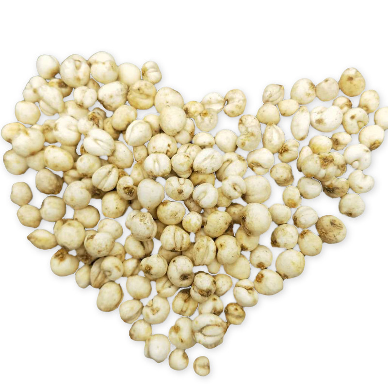 川贝母50g四川川贝粉正品仿特级野生中药材平贝母松贝非500g包邮