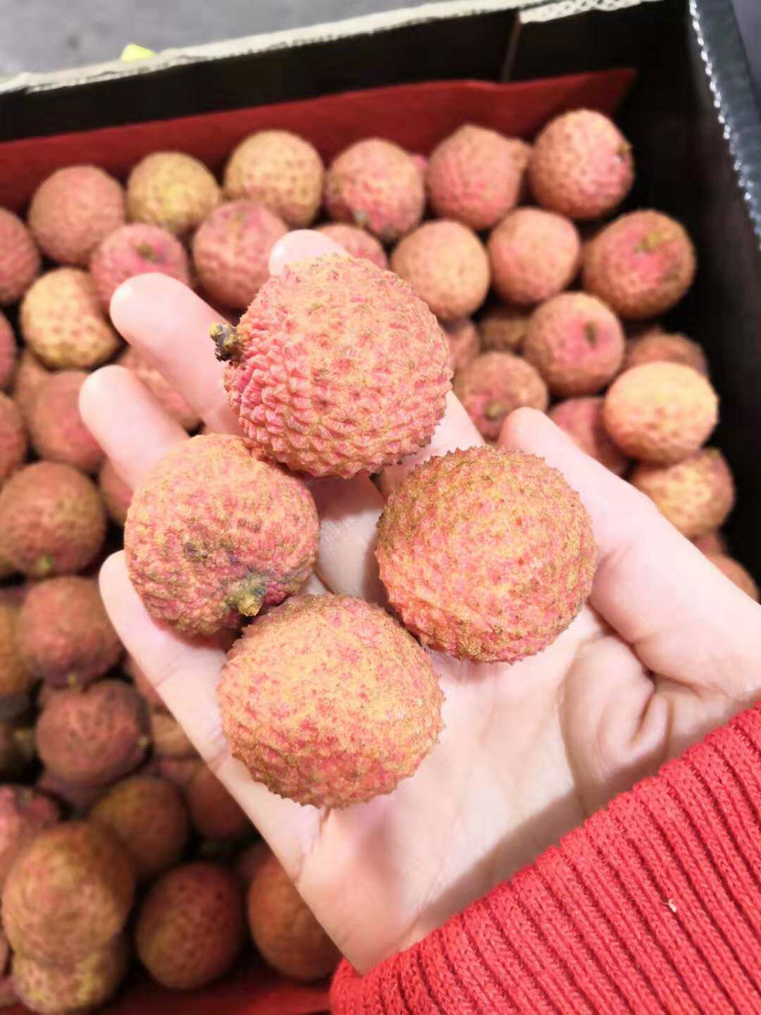 空运澳大利亚荔枝10斤原装进口新鲜水果 鲜荔枝 澳洲荔枝 桂花味