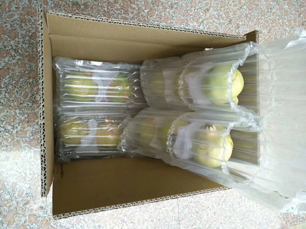 46枚甜瓜石榴气柱袋防震包装袋缓冲气囊防爆汽柱袋气柱袋