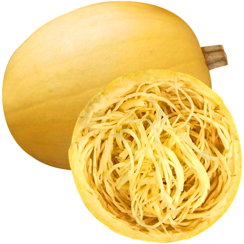 茭瓜种春秋秋季搅瓜金丝绞瓜种籽金瓜丝黄金种子家庭园艺种子