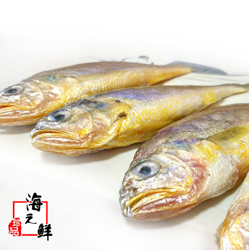 丹东黄海野生黄花鱼新鲜小黄黄鱼深海鱼类鲜活其它
