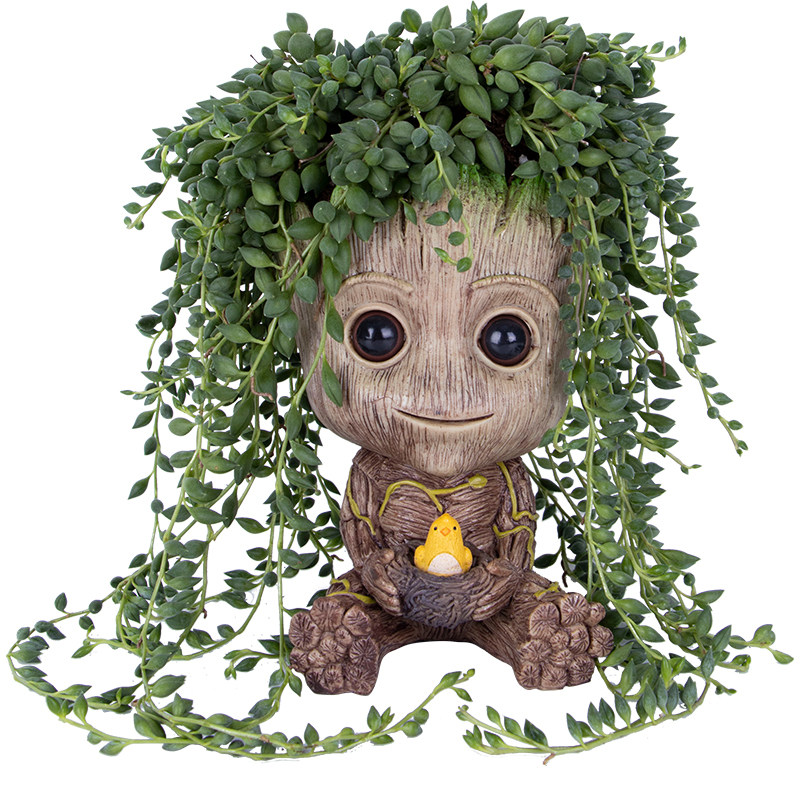 懒人植物树人格鲁特盆栽groot花盆风不动垂挂观叶植物易养绿植