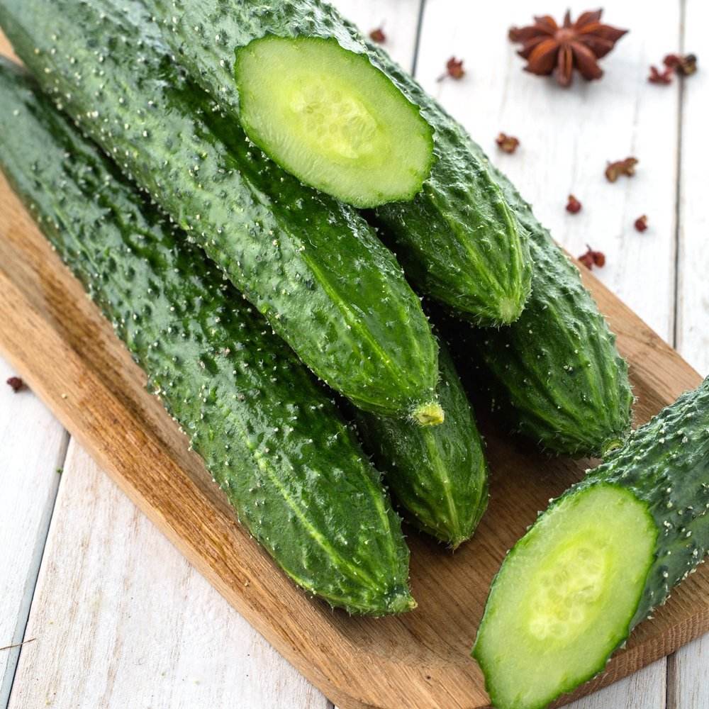 黄瓜寿光春秋园艺菜园家庭露地绿瓤秋季中农家庭园艺种子