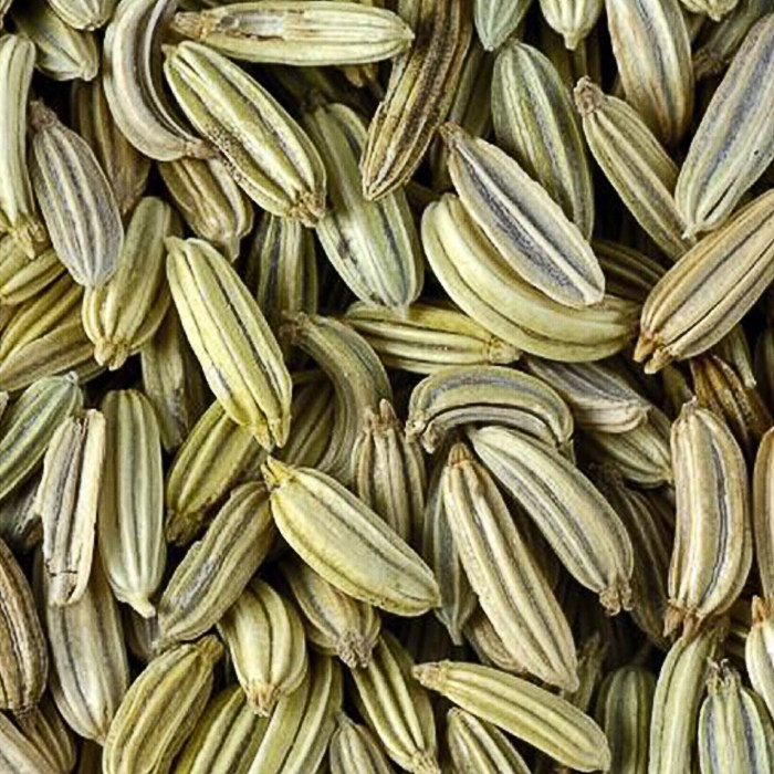 北京东升种业ds球茎茴香种子四季蔬菜家庭家庭园艺种子
