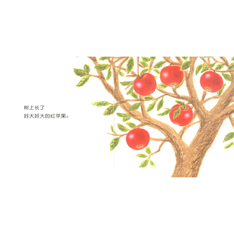 认知出版社明天读物睡前亲子0356岁图画书绘本平装绘本