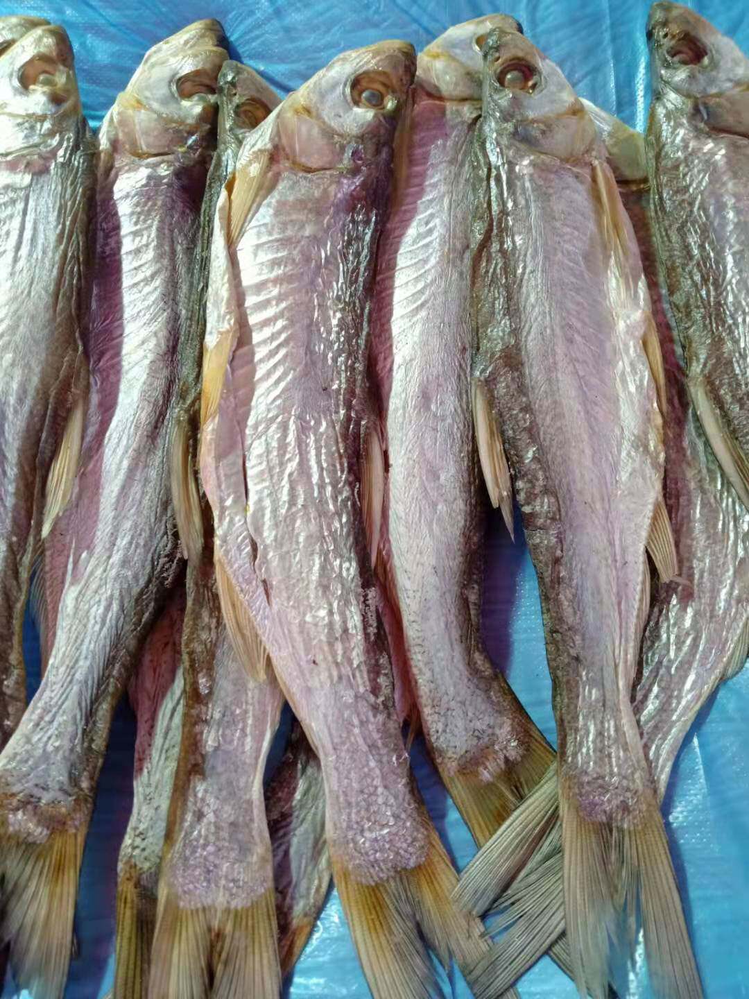 安徽安庆特产干鱼淡水子鱼风干咸鱼翘嘴鱼干鱼干