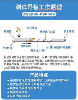 Canine distemper test paper virus detection antigen card cdv test paper dog canine distemper ເຈ້ຍທົດສອບ