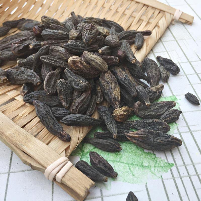 青果香料去腥果干橄榄中药材调味料另售枳壳枳实卤料卤水配料 50g