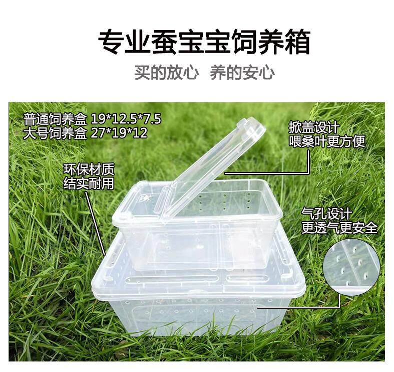 饲养养蚕蚕宝宝宠物爬虫盒活蜗牛盒带气孔蚕宝宝