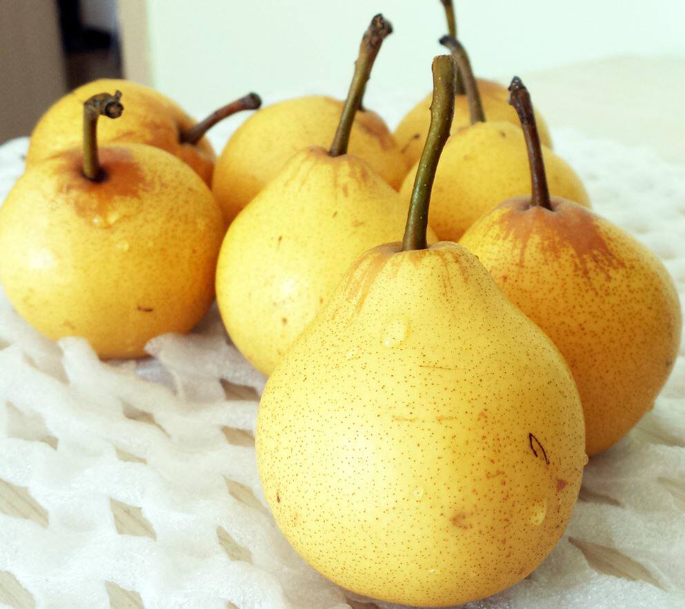 酸梨东北正宗辽宁鞍山特产新鲜秋子梨冻梨软梨