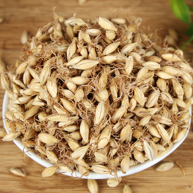 买二送一 大麦芽 麦芽 生麦芽 500克 包邮 茶 店内另有炒麦芽