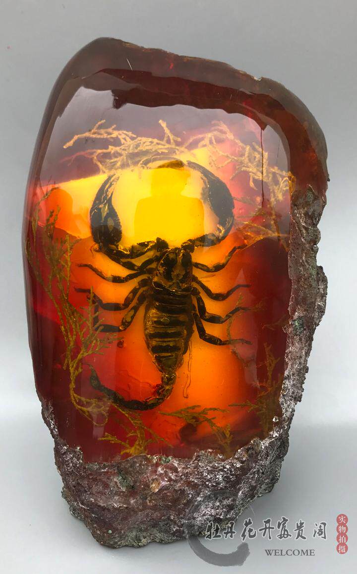 虫珀摆件琥珀蜜蜡原石蝎子标本工艺品办公室客厅摆件