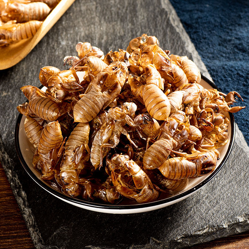 百草蜕蝉中药蝉壳蝉衣蝉皮蝉退虫退知了壳皮其他药食同源食品