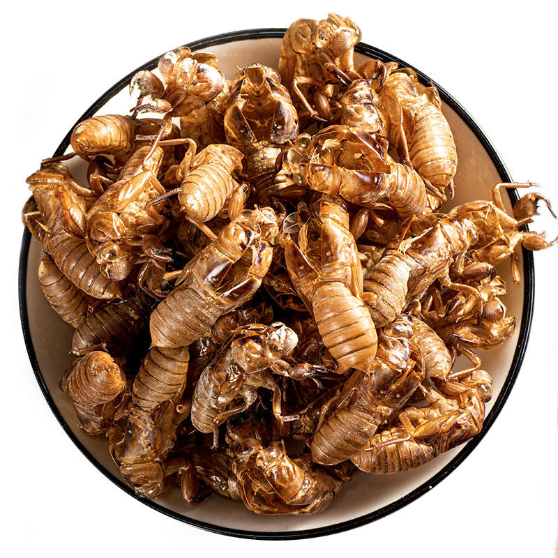 百草蜕蝉中药蝉壳蝉衣蝉皮蝉退虫退知了壳皮其他药食同源食品